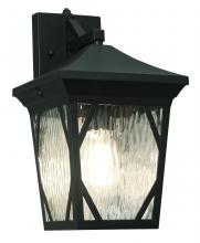 AFX Lighting, Inc. CAMW0814MBK - Campton 14" Outdoor Lantern