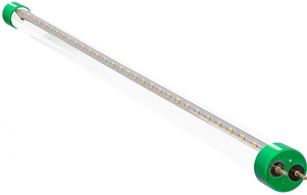 LED T8 2FT, 10W, 1200 LM, 5000K, CLEAR GLASS, TYPE A+B UL LISTED, DLC, NON DIMMABLE(12 pack) (12 pack)