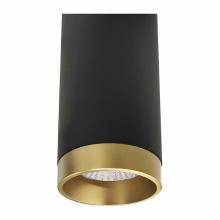 Westgate MFG C3 CMC6-TRM-AG - 8" CEILING MOUNT CYLINDER TRIM, ANODIZED GOLD