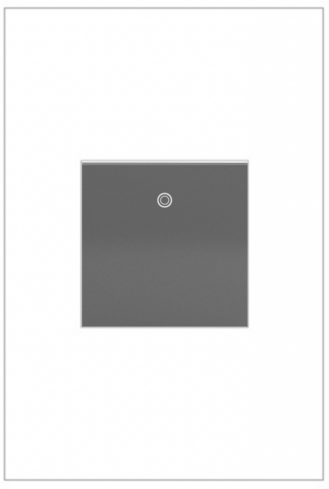 adorne? 20A Paddle Switch, Magnesium, with Microban?