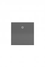 Legrand ASPD2032M4 - Paddle Switch, 20A