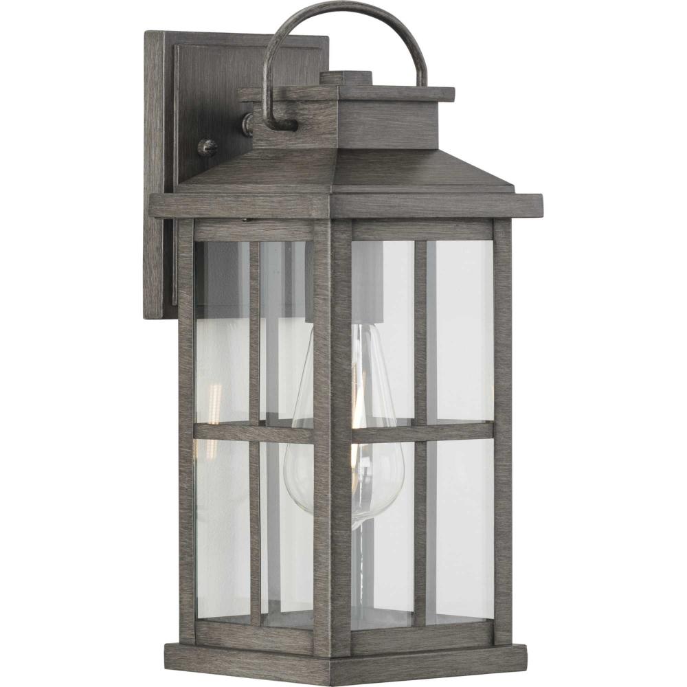 Williamston Collection One-Light Antique Pewter and Clear Glass Transitional Style Medium Outdoor Wa