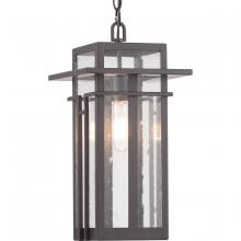 Progress P550039-020 - Boxwood Collection One-Light Hanging Lantern