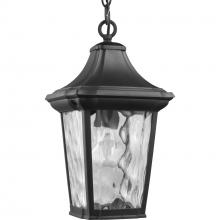 Progress P550062-031 - Marquette Collection One-Light Hanging Lantern with DURASHIELD