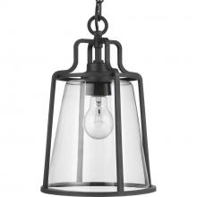 Progress P550065-031 - Benton Harbor Collection One-Light Hanging Lantern with DURASHIELD