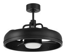 Craftmade TYL24FB3 - 24" Ceiling Fan w/Wi-Fi, DC  Motor, Blades, LED Light Kit, Damp Rated