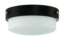 Craftmade X3212-FB - 12" Flushmount