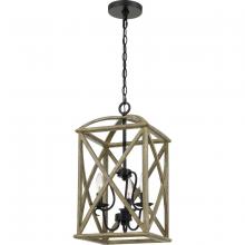 Quoizel WHN5203DW - Woodhaven Pendant