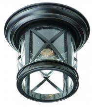 Trans Globe 5128 ROB - Chandler 11-In. Dia. Metal and Glass Outdoor Flush Mount Ceiling Light with Open Base
