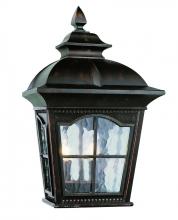 Trans Globe 5429-1 AR - Briarwood Traditional, Water Glass and Metal, Outdoor Pocket Wall Lantern Light