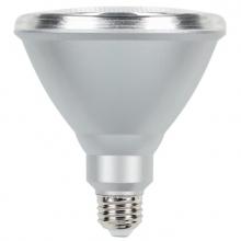 Light Bulbs