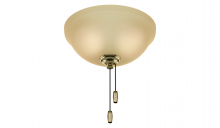 Hunter 99365 - 3 LED Bowl Light Kit - Frost Amber