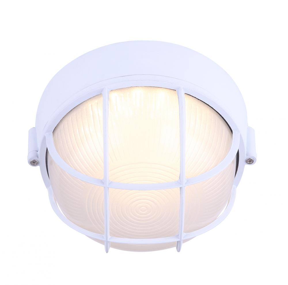 LED Outdoor Light, Frosted Glass, 12W Integrated LED, 750 Lumens, 7.5inch W x 4