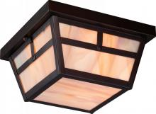 Nuvo 60/5676 - Tanner - 2 Light - Flush with Honey Stained Glass - Claret Bronze Finish
