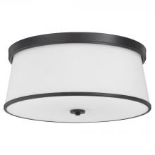 Quorum 3203-20-59 - Weir 20 inches Ceiling Mount, Matte Black